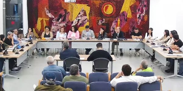 Ple Municipal 29/01/2024 - El ple de Pineda aprova nous carrers de zona verda