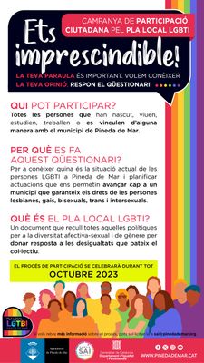 750-Questionari-LGTBI-02.jpg