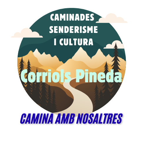Corriols Pineda (5).png