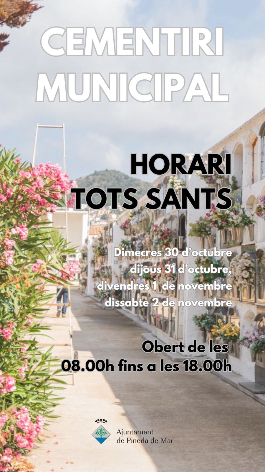 totsants24.jpeg