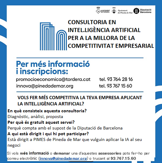 Assessorament Intel·ligència Artificial