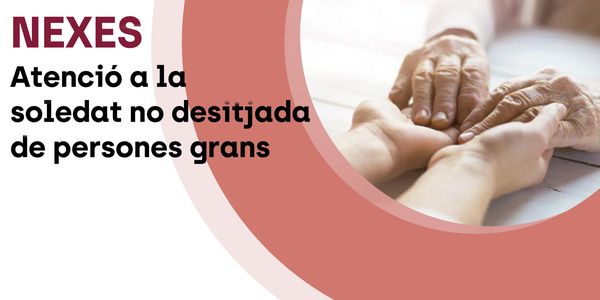 El programa NEXES organitza un taller TIC per a gent gran