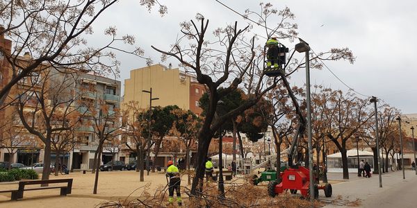 Esporgues de seguretat a les mèlies de la plaça de les Mèlies