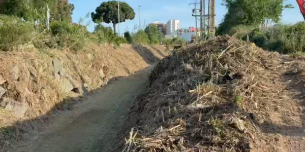 L’Ajuntament posa en marxa la neteja de la Riera de Pineda i la de Can Feliu de Manola