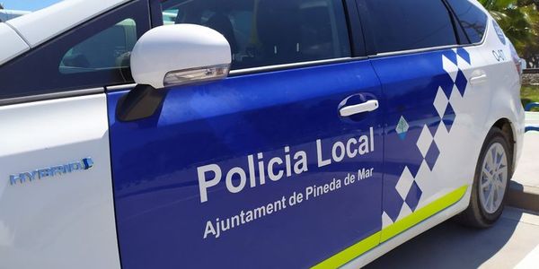 La Policia Local lliura a Mossos d’Esquadra el cas de la persona investigada per dur 600 plantes de marihuana en una furgoneta
