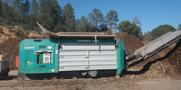 Pineda farà compost amb les canyes que va portar el temporal Glòria a les platges