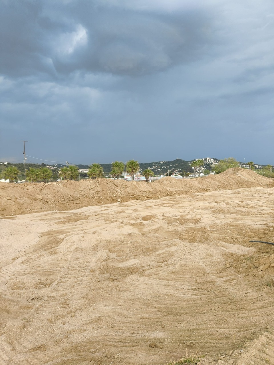 Renaturalització II Fase Platja dels Pins. 2.jpg