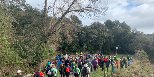 Torna el Cicle de Passejades per a la Gent Gran amb novetats